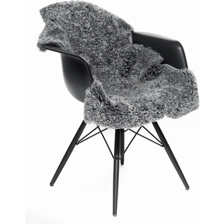 Lammeskind | Premium | Korthåret | 90x60 cm