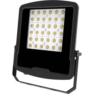 EVN Panthera udendørs LED-spot IP65 100W 4.000K