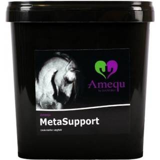 MetaSupport