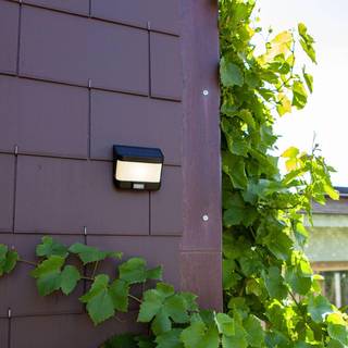 LUTEC TRY udendørs LED væglampe med solceller og sensor, H6,9 cm, IP54, sort