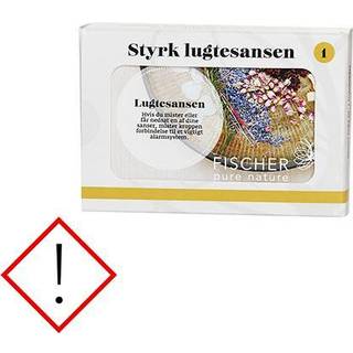 Styrk lugtesansen kit 1, 4 x10 ml æteriske olier Eucaluptus Ø, Origanum, Ingefær, Cedertræ