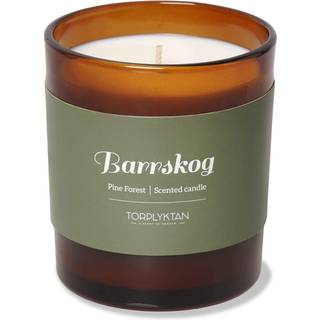 Torplyktan Northern woods duftlys 310 g Barrskog