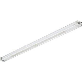 Signify Philips Pacific Industriarmatur WT490C 6400lm/840 3F Gennemfortrådning 5-polet Push-in connector 160