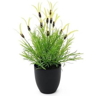 Europalms Feather lettuce, artificial, 40cm TILBUD NU