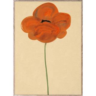 Paper Collective Orange Vallmo plakat 50x70 cm