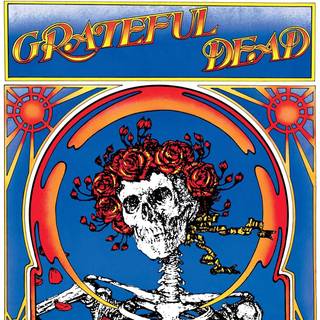 Grateful Dead - Grateful Dead (Skull & Roses)