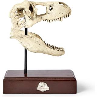 Jurassic World Tyrannosaurus Rex Skull Resin Replica - 9x8 -tommer Trex Dinosaur hovedstatue - Realistisk model Skelet Dekoration - Hjem & Office