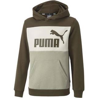 Puma Hoodie Deep Olive Colorblock