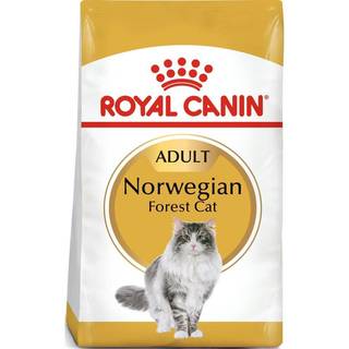 ROYAL CANIN Adult Norsk skovkat fjerkræ 10 kg