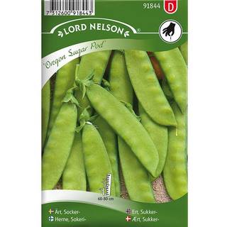 Sukkerært 'Oregon Sugar Pod'