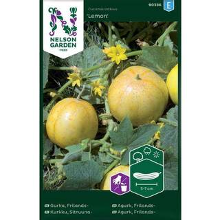 Frilandsagurk 'Lemon'