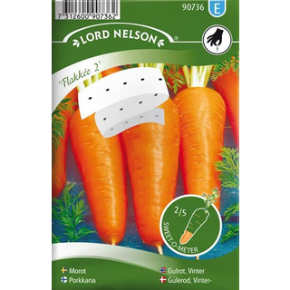 Vintergulerod 'Flakkée 2' Såbånd