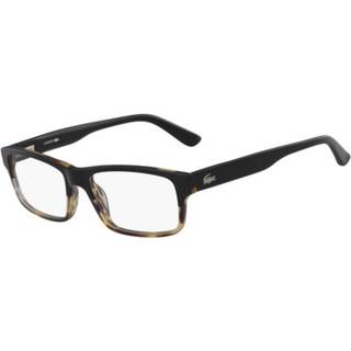 Lacoste Mand L2705 006 Optiske stel Acetat Havana/Sort Firkantet