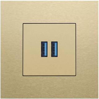 Niko Afdækning usb-oplader gold