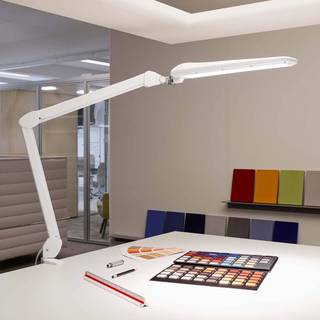 LED-bordlampe MAULcraft, hvid, 52 cm, klemmefod, dæmpbar