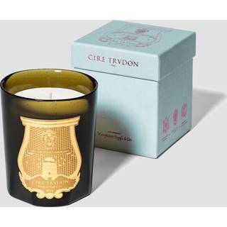 Trudon Candlelight And Scents - 'Solis Rex' candle in Green Glass, Vegetal wax
