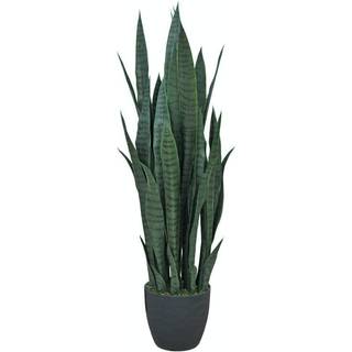 Mr Plant, Sansevieria Potteplante 100 cm