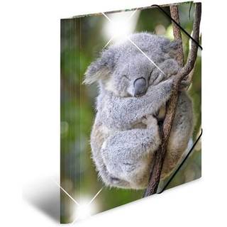 HERMA Sammelmappe A4 Glossy Koala Polypropylen