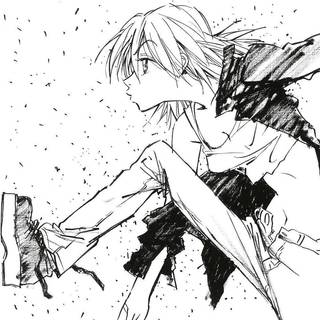 Pillows - Flcl