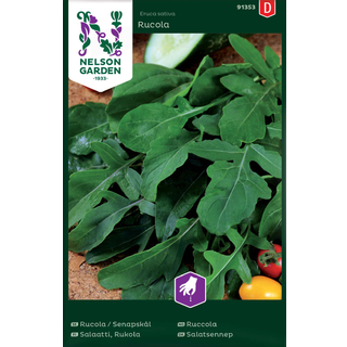 Rucola