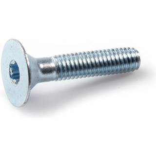 Arvid Nilsson 25306020 Flatbed skrue MFTF-TT FZB M6 x 20 mm, pakke med 200