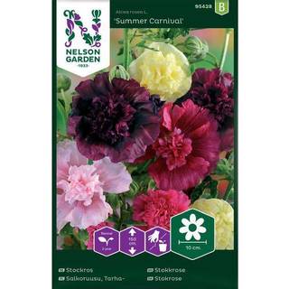 Stokrose 'Summer Carnival'