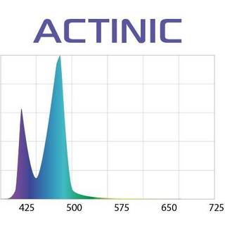 AQUAEL Leddy Slim Actinic 32W Svart