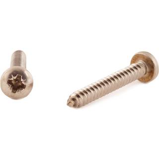 Schäfer & Peters 7981404225 Skrue 4,2 mm, RXS A4 ST, DIN 7981 C 4,2 x 25 mm, pakke med 1000