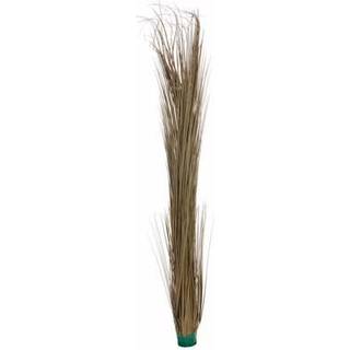 Europalms Reed grass, khaki, artificial, 127cm TILBUD NU græs