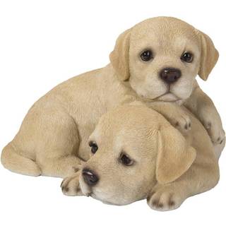 Hi-line gave baby labradors spiller