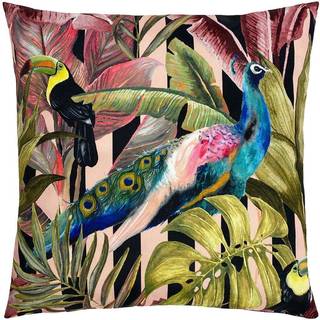 Evans Lichfield Evans Lichfield Black Toucan And Peacock 43 x 43 Outdoor Polyester Cushion