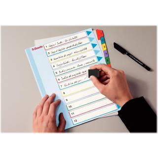 Esselte Register overskriv Mylar A4 maxi