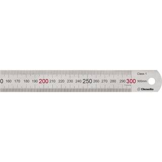 Diesella 300X25X1,0 mm (10310145)