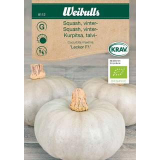 Squashfrø (Vintersquash 'Leckør') Økologisk