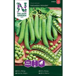 Lav Marvært 'Kelvedon Wonder' Big Pack