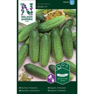 Frilandsdrueagurk 'Profi' F1