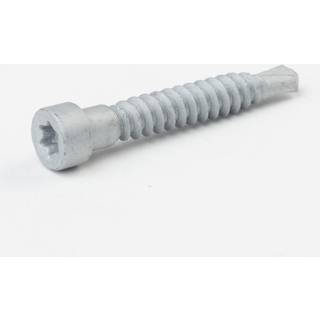 Adjufix 120106 Skrue Pakke med 67 x 42 SRT74, TX30, 100