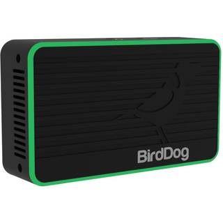 BirdDog Flex 4K IN - HDMI/NDI Encoder