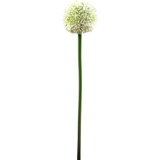 Kunstig Allium Grens, creme