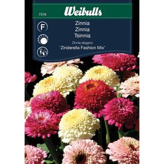 Blomsterfrø (Zinnia elegans 'Zindarella Fashion Mix')
