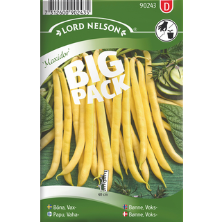 Voksbønne 'Maxidor' Big Pack