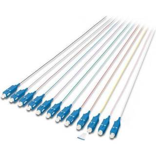 DIGITUS Professional pigtail - 2 m - grey black white blue yellow red green brown orange violet pink turquoise - Sort - 2 meter