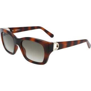 Ferragamo Kvinde SF1012S 214 Solbriller Acetat Havana Grå Firkantet Skygge