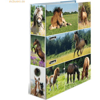 HERMA Motif file A4 animals horse meadow