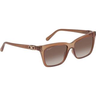 Salvatore Ferragamo SF 1027S 210 55 Solbriller Mænd Brun - Transparent Brown - 55mm