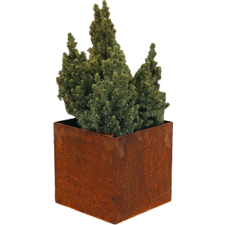 Plantekrukke FIORA - large
