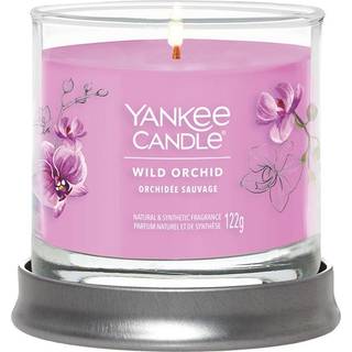 Wild Orchid