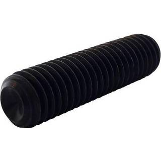 REYHER 009162000050006 Stopskrue M5 MSK6SS, ISO4029, DIN 916 M5x6 mm, 1000-pak
