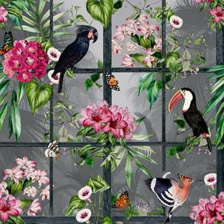 Arthouse Wallpaper Cuban Tropicana 924408