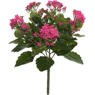 Vickerman Everyday Artificial Hot Pink Kanachoe Bush 17.25 """" Lang - Premium Faux Blomsterindretning til bryllup eller hverdagslige arrangementer